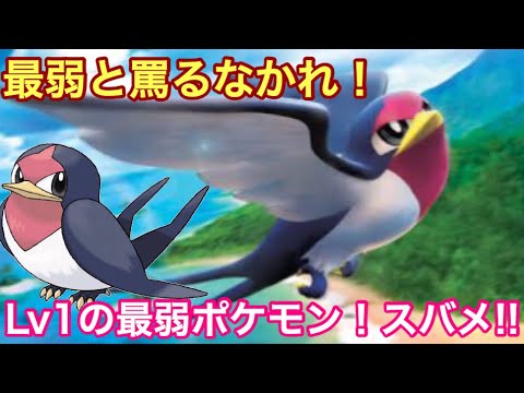 【ポケモンUSUM】Lv1の最弱ポケモン！スバメ!!【ウルトラサン/ウルトラムーン】