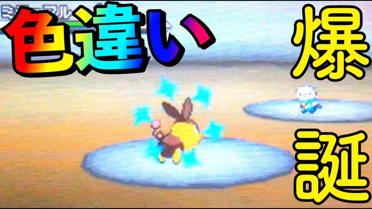 【神回】鬼畜色違い縛り開始。ポカブついに降臨！【ポケモンBW】【色違い女王】