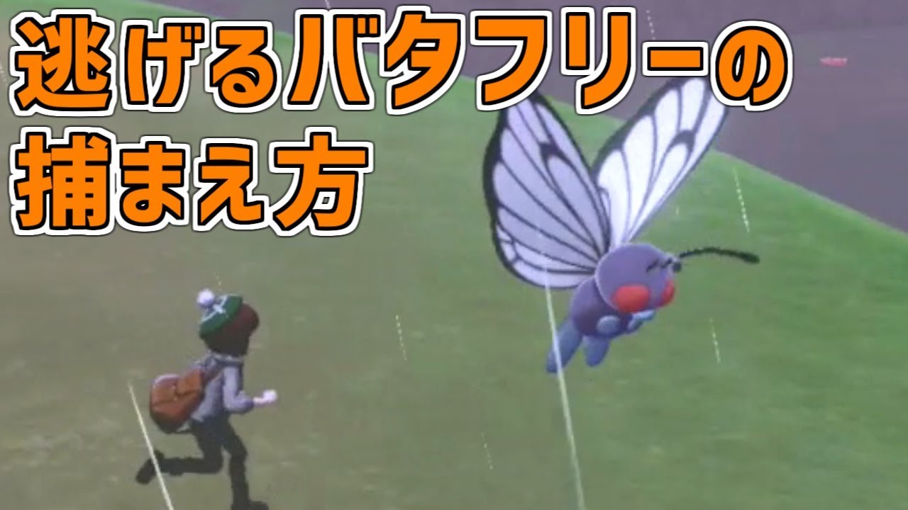 【ポケモン剣盾】バタフリーが逃げるときはこうしよう！【ゆっくり実況】【ポケットモンスター ソード・シールド】