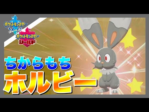 ホルビーの色違いが出て発狂する男　【ポケモン剣盾】