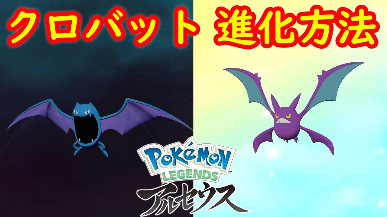 【ゴルバット → クロバット】進化方法 攻略  【Pokémon LEGENDS アルセウス ポケモン レジェンズ アルセウス】