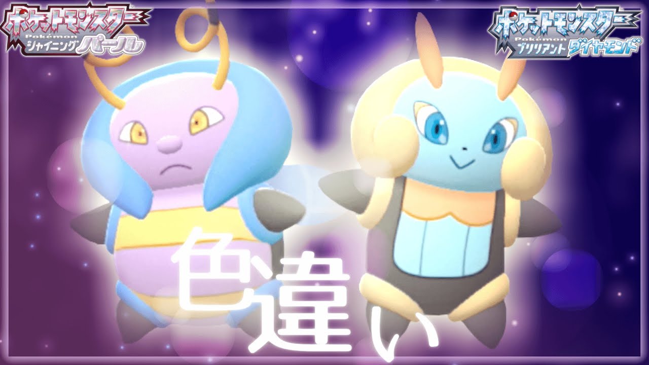【ポケモンBDSP】半年フライングで虫捕りに行く饅頭ども　色違いバルビートとイルミーゼが欲しい!!【ゆっくり実況】