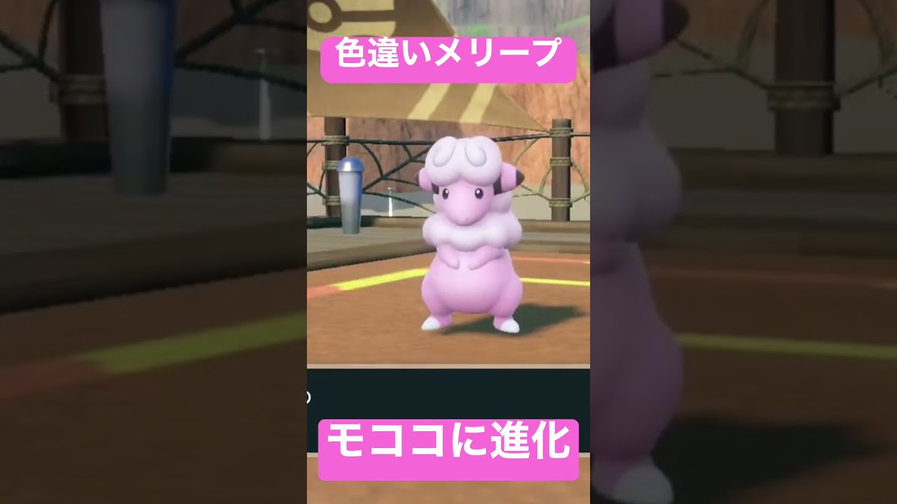 色違いメリープが進化！！！【ポケモンSV】
