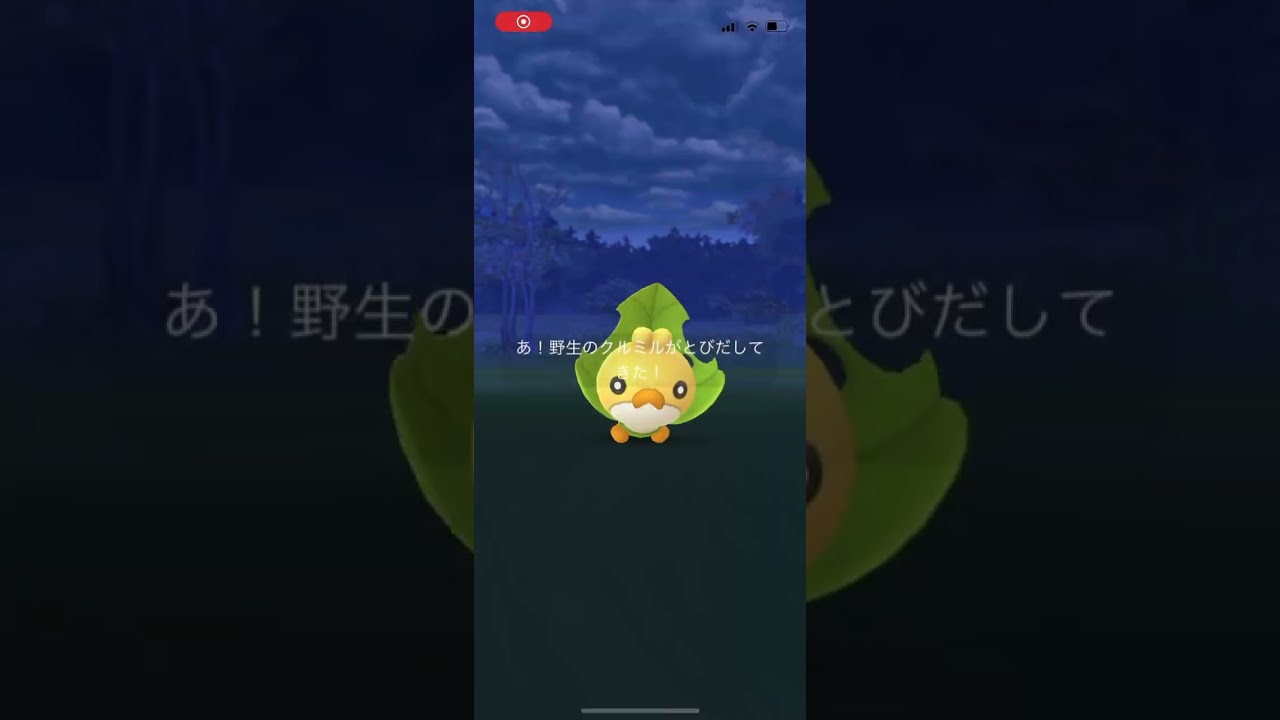 ポケモンgo 野生のクルミル　ゲットチャレンジ