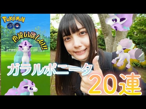【ポケモンGO】ガラルポニータの色違いが欲しいのです！！！ギャロップに進化させたいんです！！