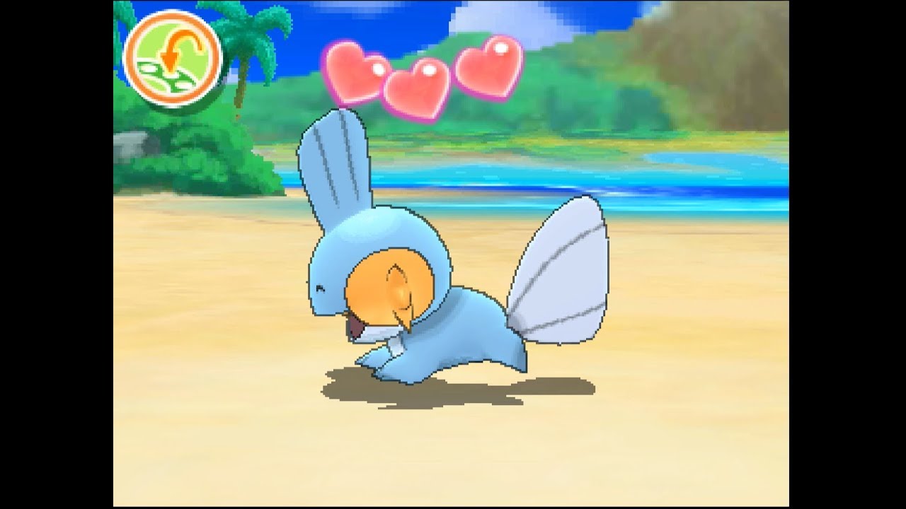 ポケリフレ　ミズゴロウと戯れるだけの動画