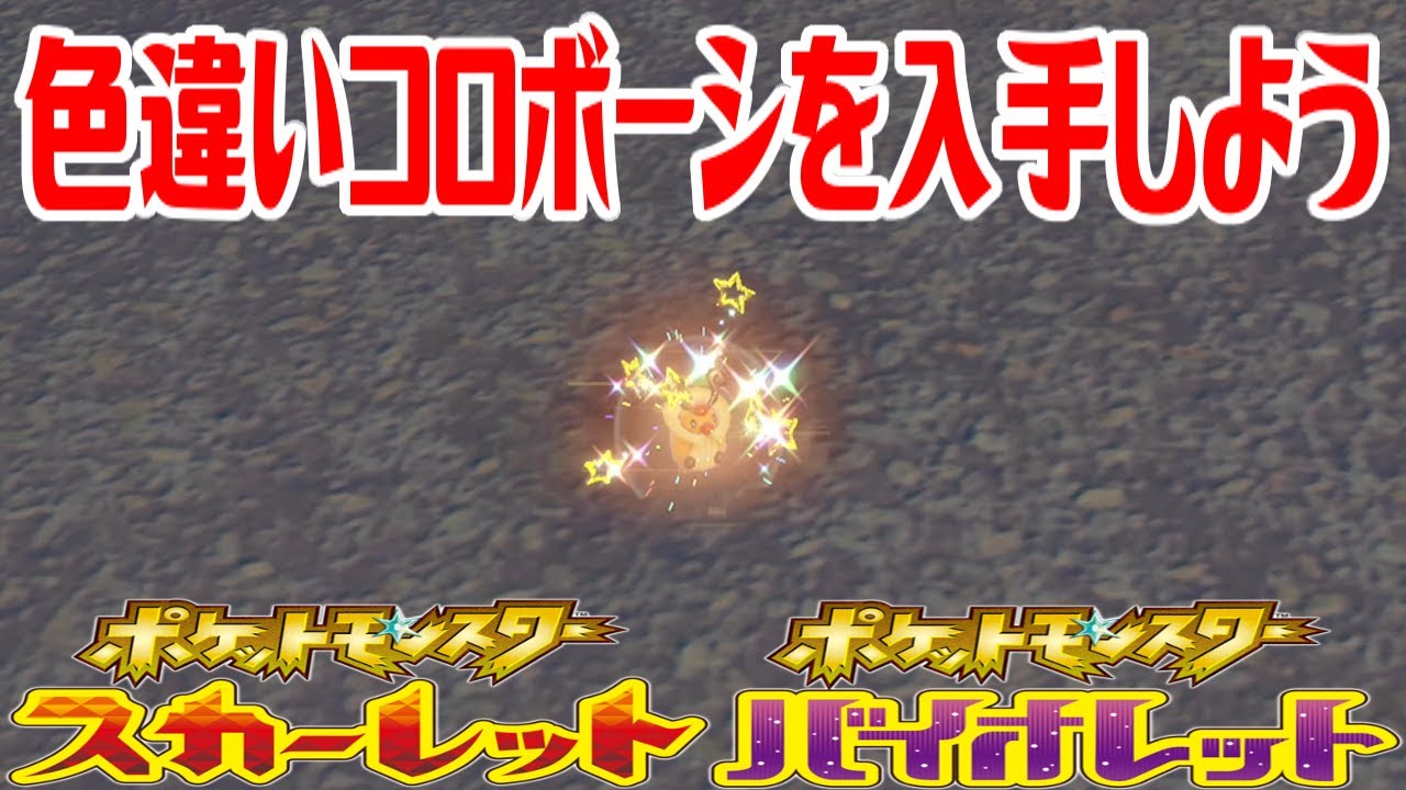 【ポケモンSV】色違いコロボーシを入手しよう【ポケットモンスター スカーレット・バイオレット】Pocket Monsters