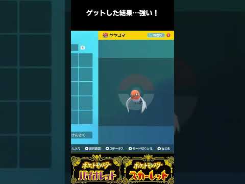 【ポケモンSV】序盤旅パ用に絶対捕まえるべき最強ヤヤコマ捕獲方法解説 #Shorts