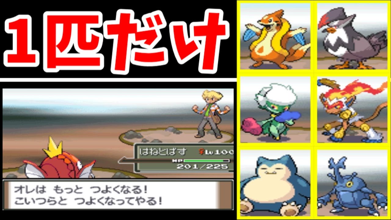 【Pt】１匹のコイキングが自らの力でジュンを倒す！【ゆっくり実況】【ポケモンPt】