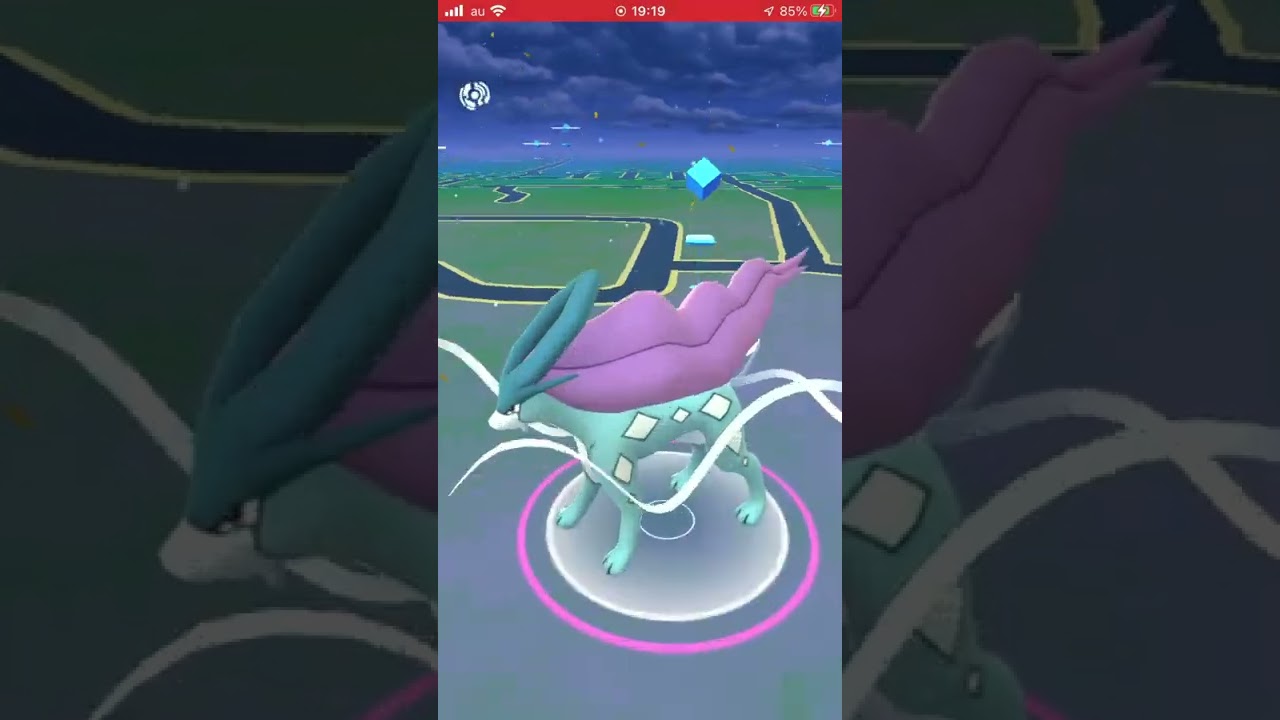 【ポケモンGO】家に野生の伝説現る【スイクン】