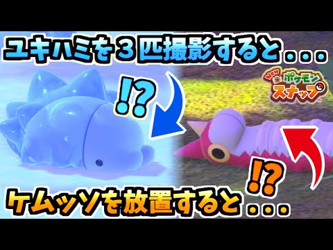 【ポケスナ】虫ポケおもしろアクション８選！！【Newポケモンスナップ】【リクエスト】