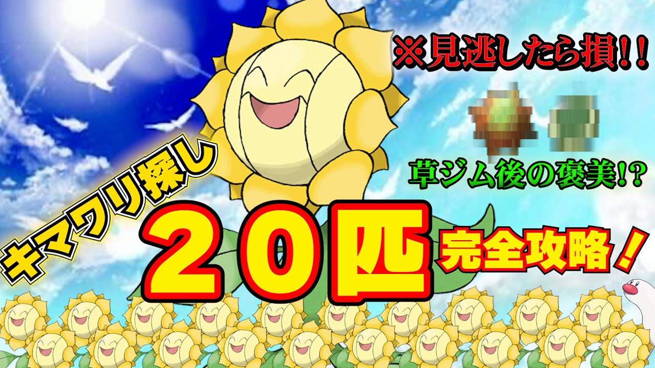 ポケモンsv【キマワリ集め】草ジム後に絶対にやったほうがいいイベント！！キマワリがいる場所を完全解説！！
