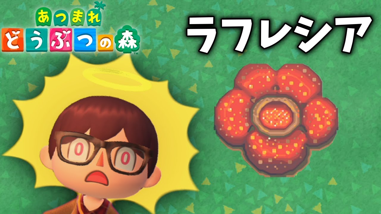 【あつ森】ラフレシアが咲いてしまいました…。