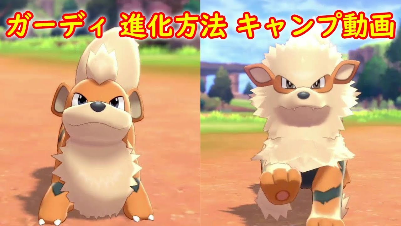 【ガーディ → ウインディ】進化方法 攻略 + キャンプで遊ぶ【ポケモン ソード シールド ポケモン剣盾】