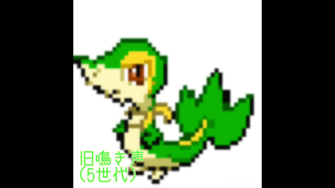 ツタージャ　新旧鳴き声比較