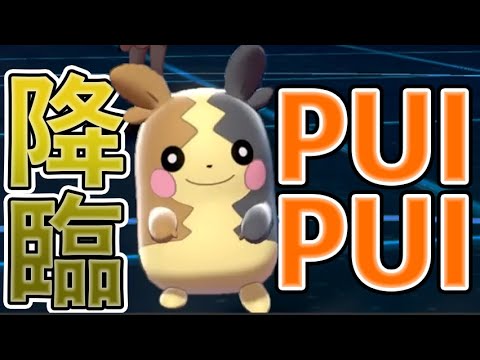 【PUIPUI】現環境で戦えるモルペコの型が視聴者さんから届いた！使うしかねぇ！【ポケモン剣盾】