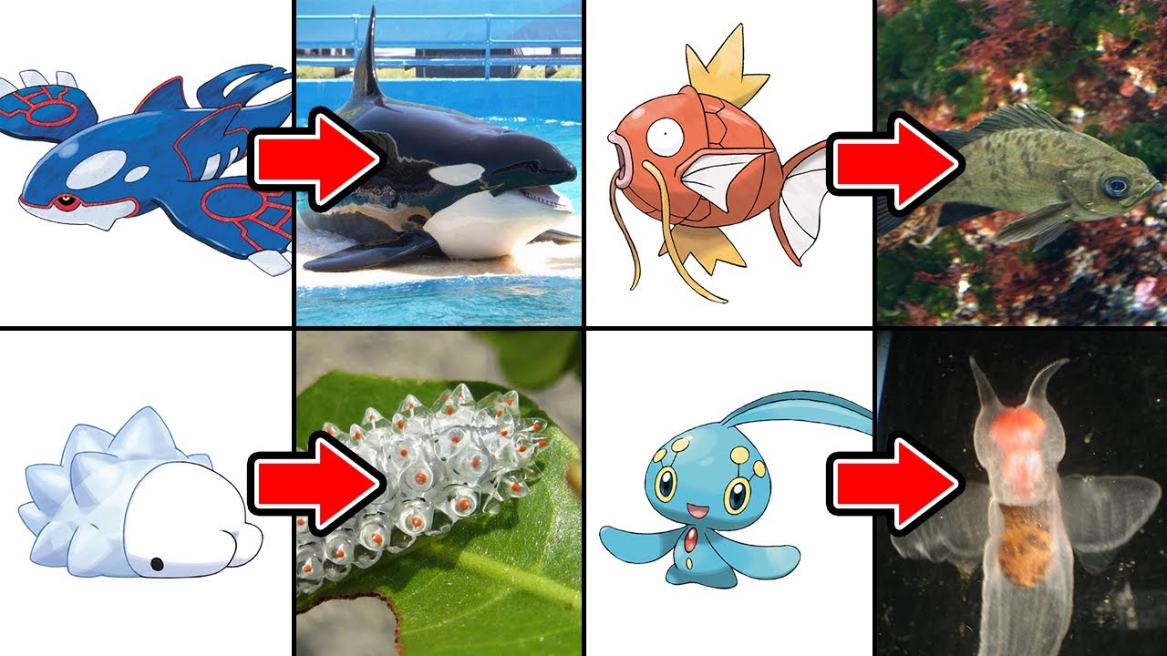 【衝撃】ポケモンのモデルになった動物 20選