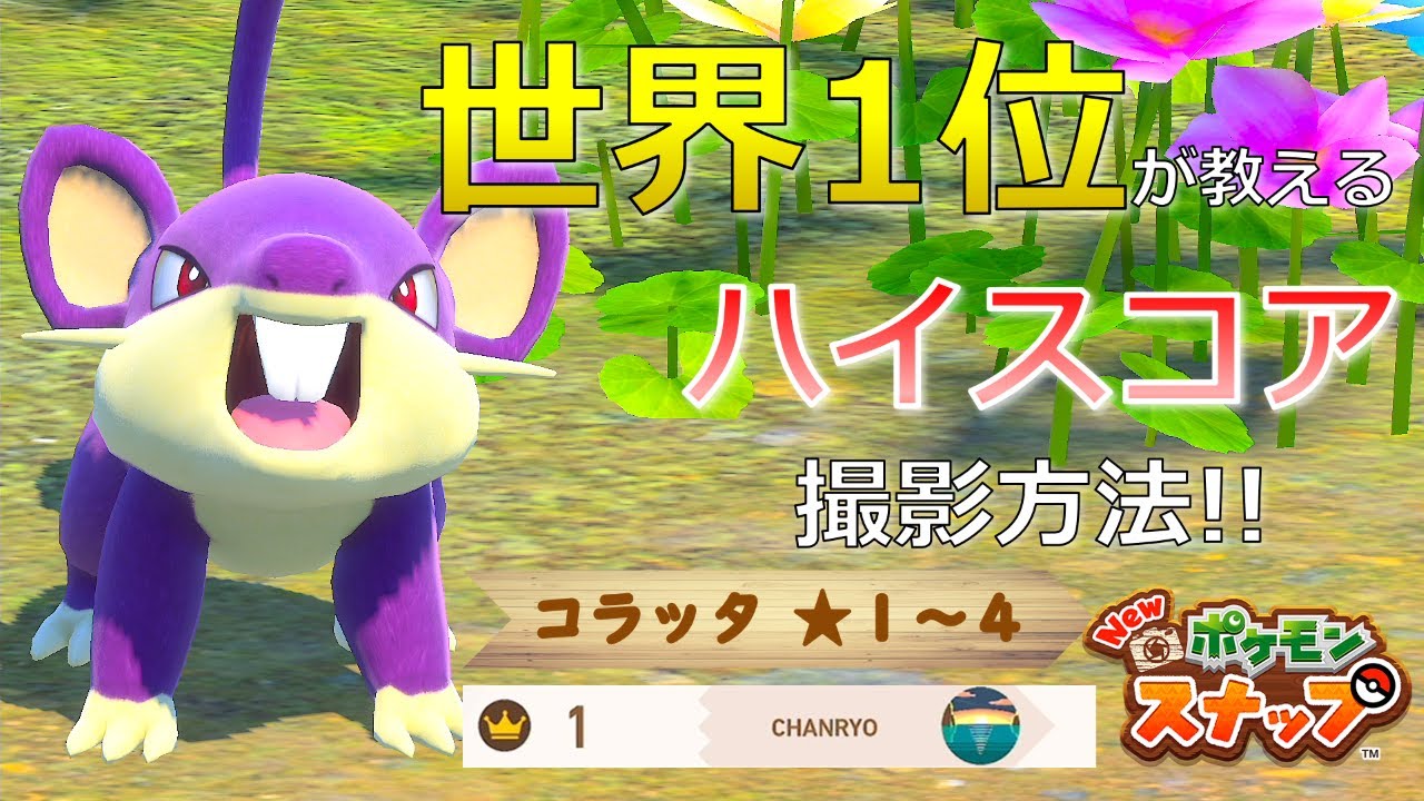 【Newポケモンスナップ】コラッタ★１~★４ 高得点撮影方法【ハイスコア/攻略】