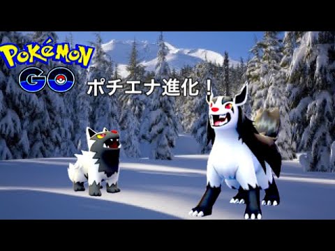 ポケモンGO ポチエナ進化！