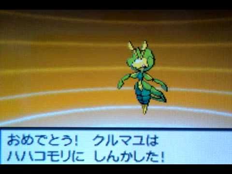 ポケットモンスター ホワイト、クルマユ / ハハコモリ