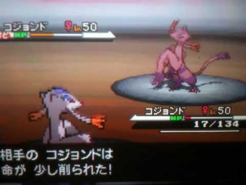 【ポケモン】チョロネコがまじ強可愛い件【BW】