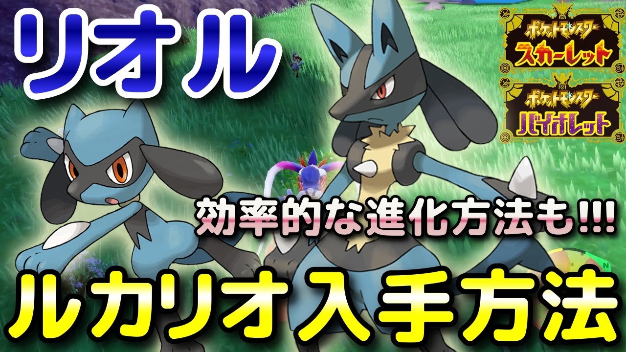 【ポケモンSV】リオル・ルカリオの入手方法・出現場所！進化条件と効率的な進化方法も解説します！【スカーレット・バイオレット】