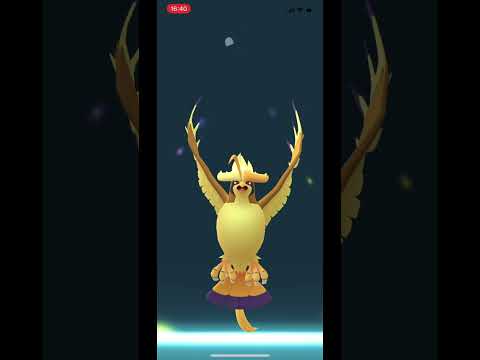【ポケモンGO】色違いポッポをメガピジョットに進化！/SHINY Poppo evolved MEGA Pidgeot #shorts