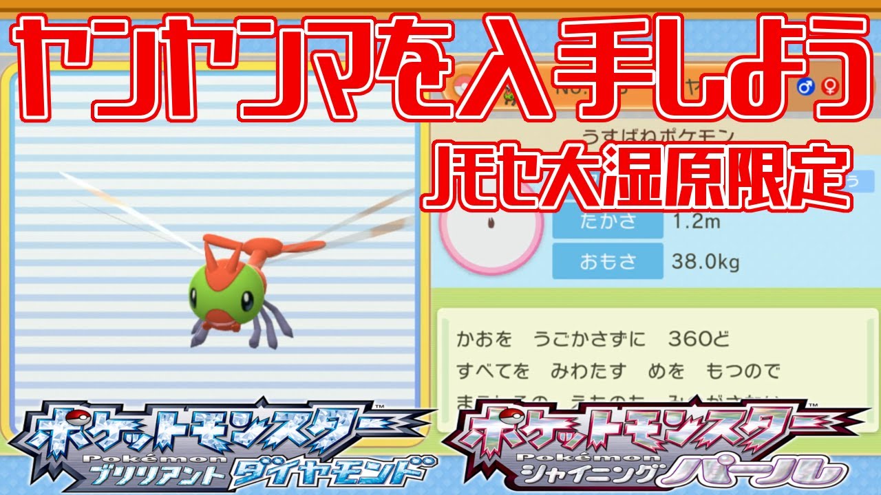 【ポケモンダイパリメイク】ヤンヤンマを入手しよう ノモセ大湿原限定【ポケットモンスター ブリリアントダイヤモンド・シャイニングパール】Pocket Monsters