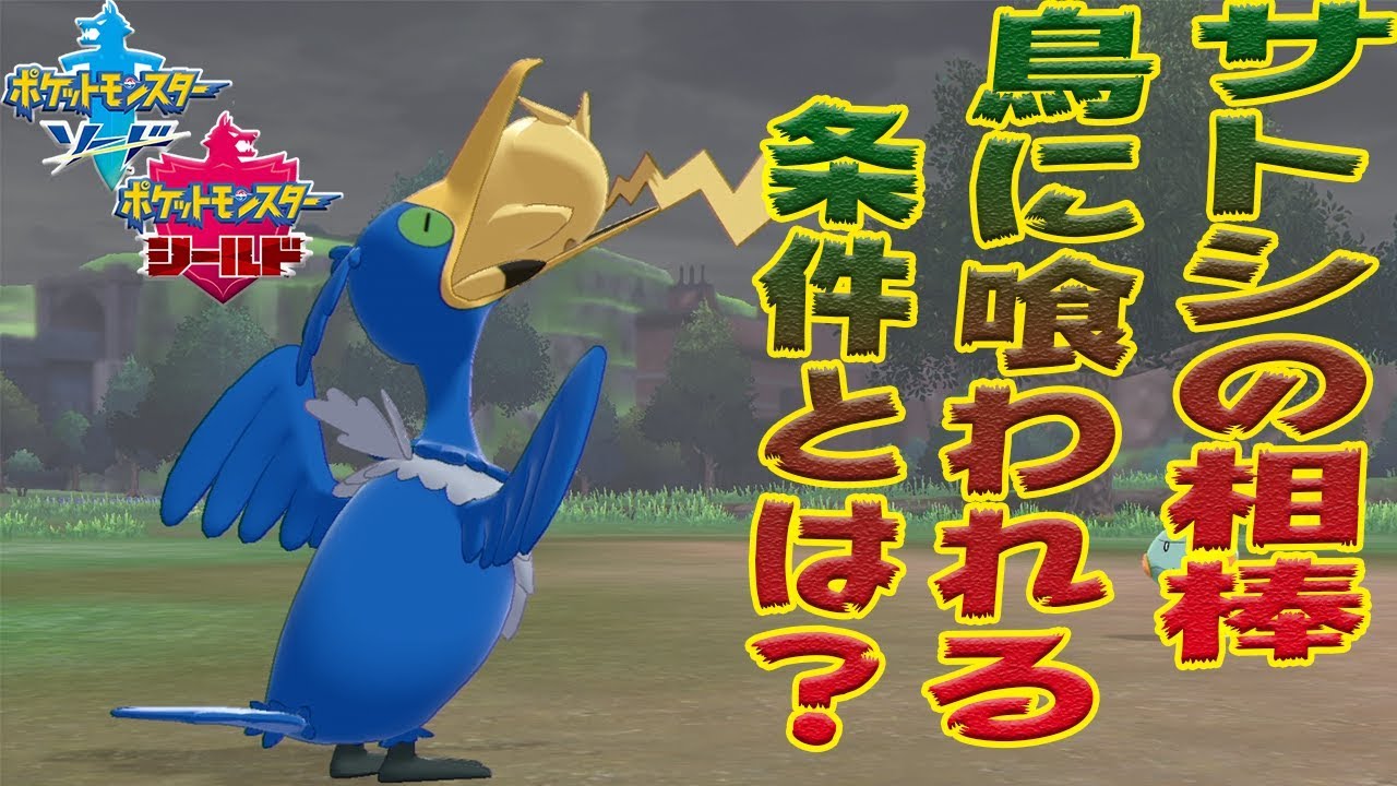 【ポケモン】ウッウがピカチュウを加えてくる条件とは・・？