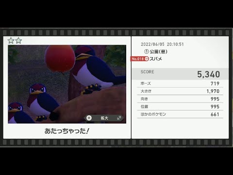 Newポケモンスナップ　★2スバメ【5340】