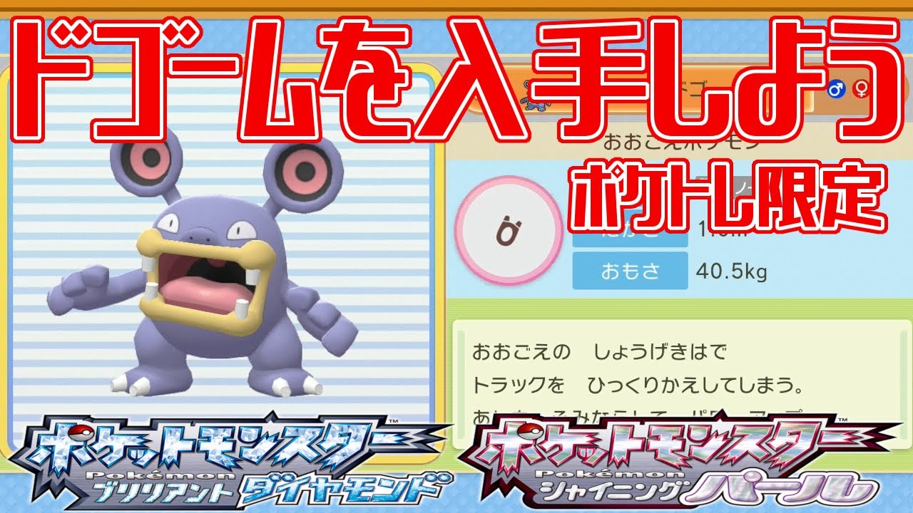 【ポケモンダイパリメイク】ドゴームを入手しよう ポケトレ限定 テンガン山 頂上・雪【ポケットモンスター ブリリアントダイヤモンド・シャイニングパール】Pocket Monsters