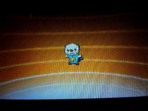 ミジュマル進化