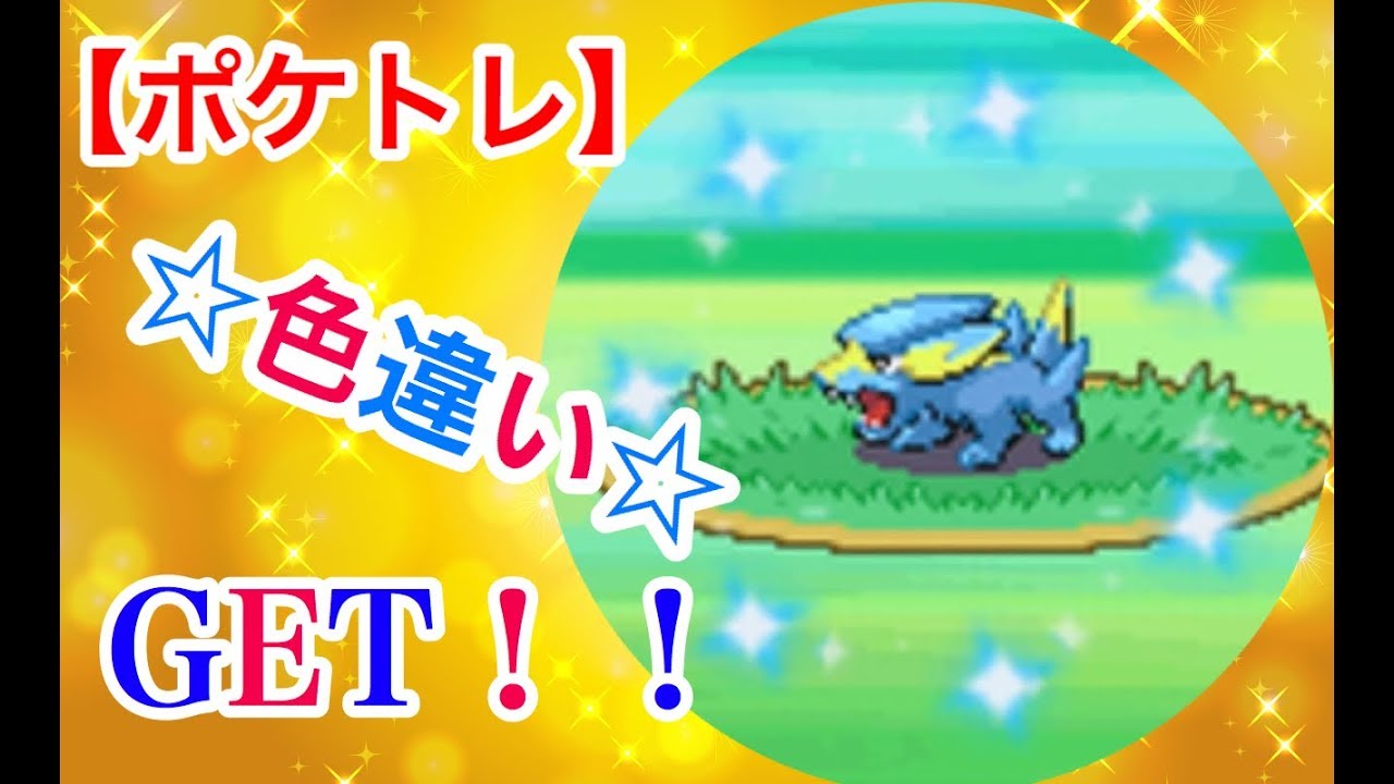 【ポケトレ】色違いラクライGET！！