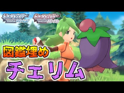 【図鑑埋め】チェリム持ちトレーナー紹介【ポケモンBDSP/ダイパリメイク】