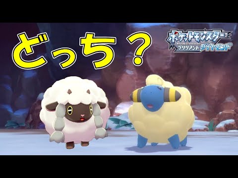 このポケモンはメリープ？それともウールー？【ポケモンBDSP/ゆっくり実況】
