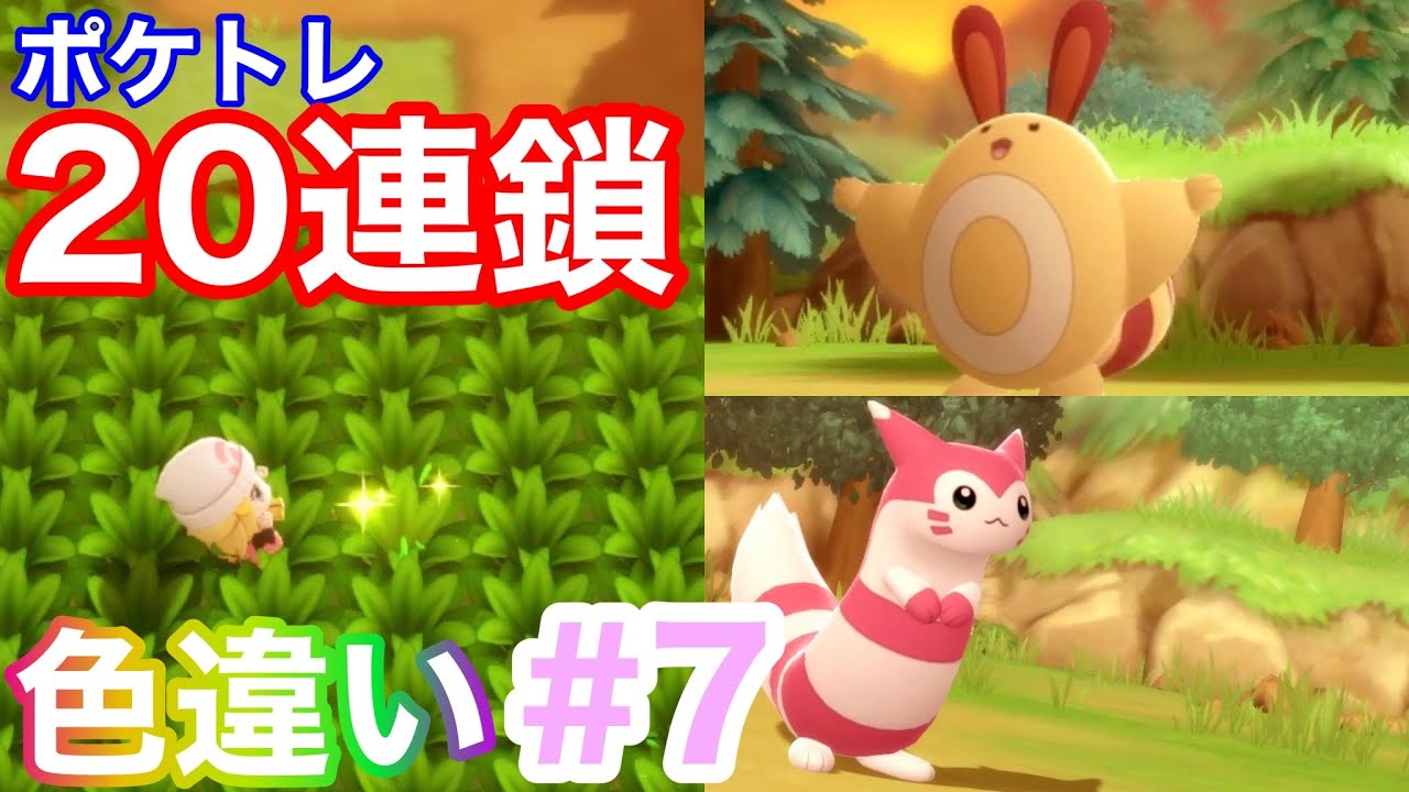 【BDSP】視聴者おすすめ！モフモフの色違いオタチ&オオタチが可愛すぎる♡