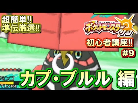 【ポケモンSM】初心者講座！ポケモン サンムーン実況プレイ！Part9 【カプ・ブルル厳選編】