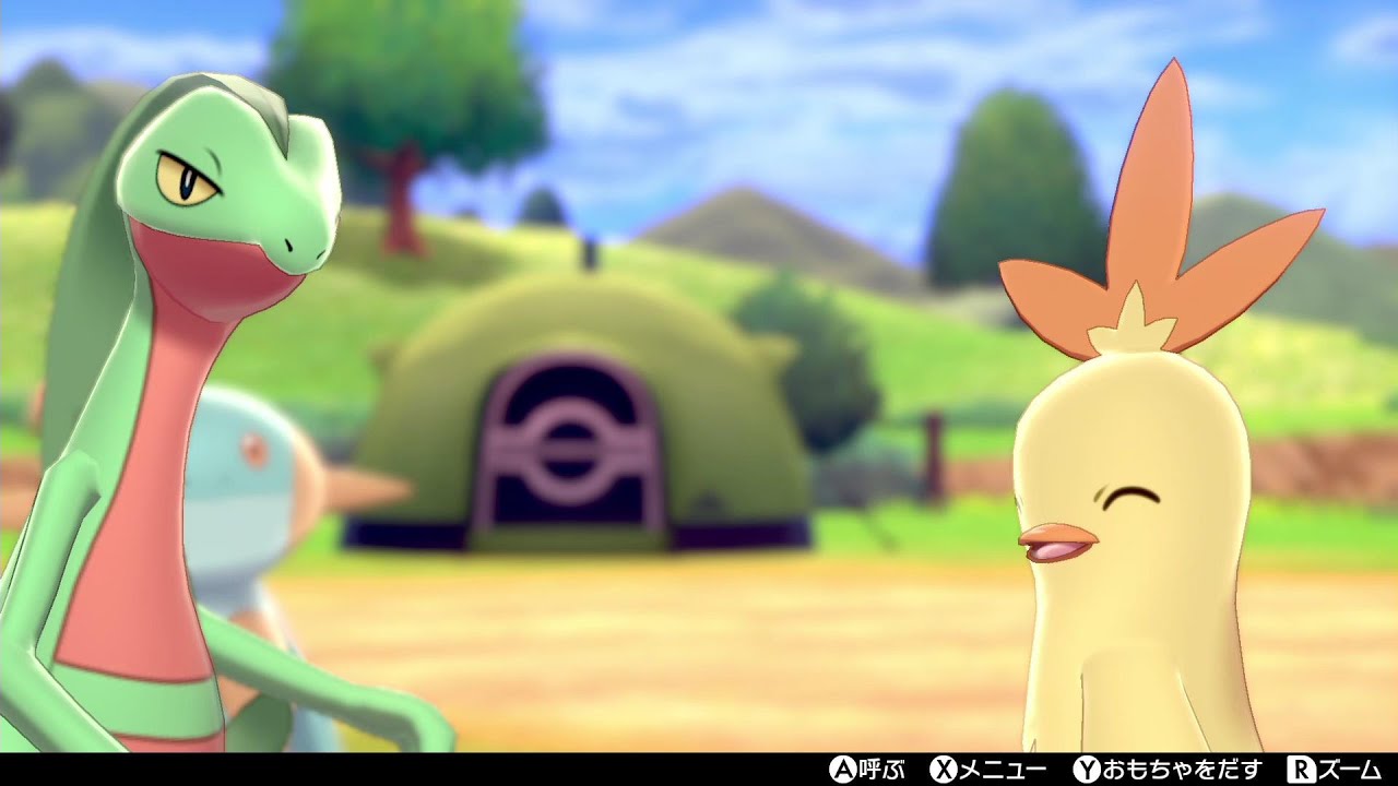 冠の雪原配信！ホウエン御三家 ジュプトル・ワカシャモ・ヌマクローとポケモンキャンプで戯れます【ポケモン剣盾/ソードシールド/　冠の雪原】
