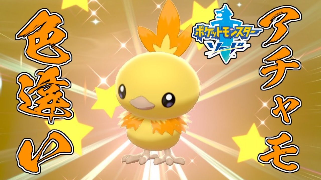 【ポケモン剣盾】色違いアチャモが可愛すぎるので欲しい