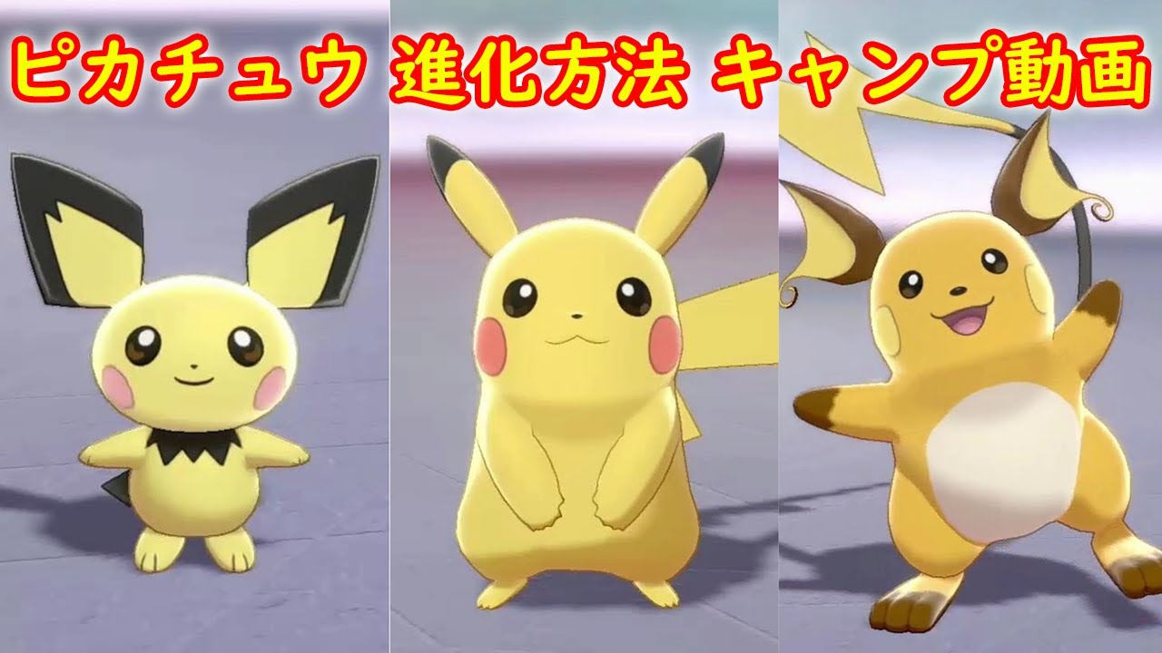 【ピチュー → ピカチュウ → ライチュウ】進化方法 攻略 + キャンプで遊ぶ【ポケモン ソード シールド ポケモン剣盾】