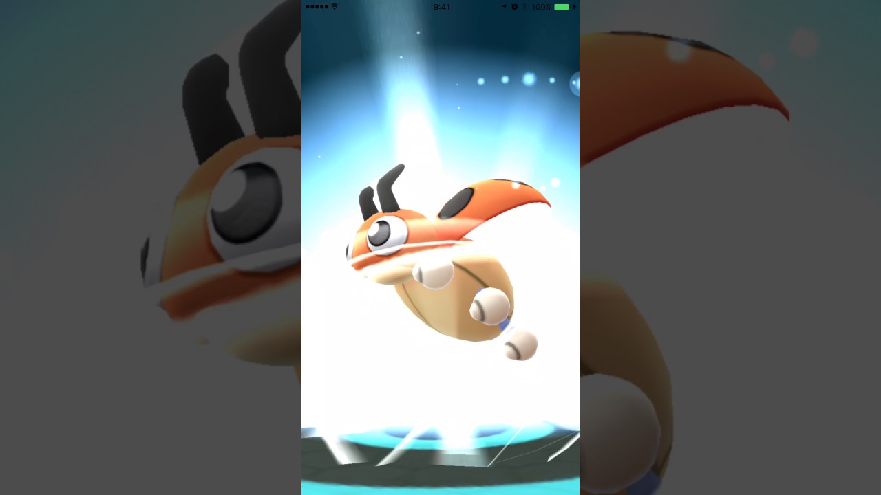 【ポケモンGO】金銀　進化動画　レディバ→レディアン