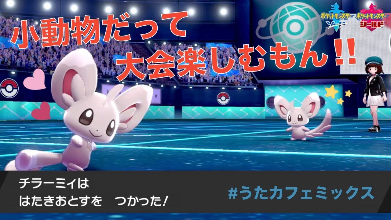 チラーミィの仲間大会にキュン死♡寸前っ！！【ポケモン剣盾】