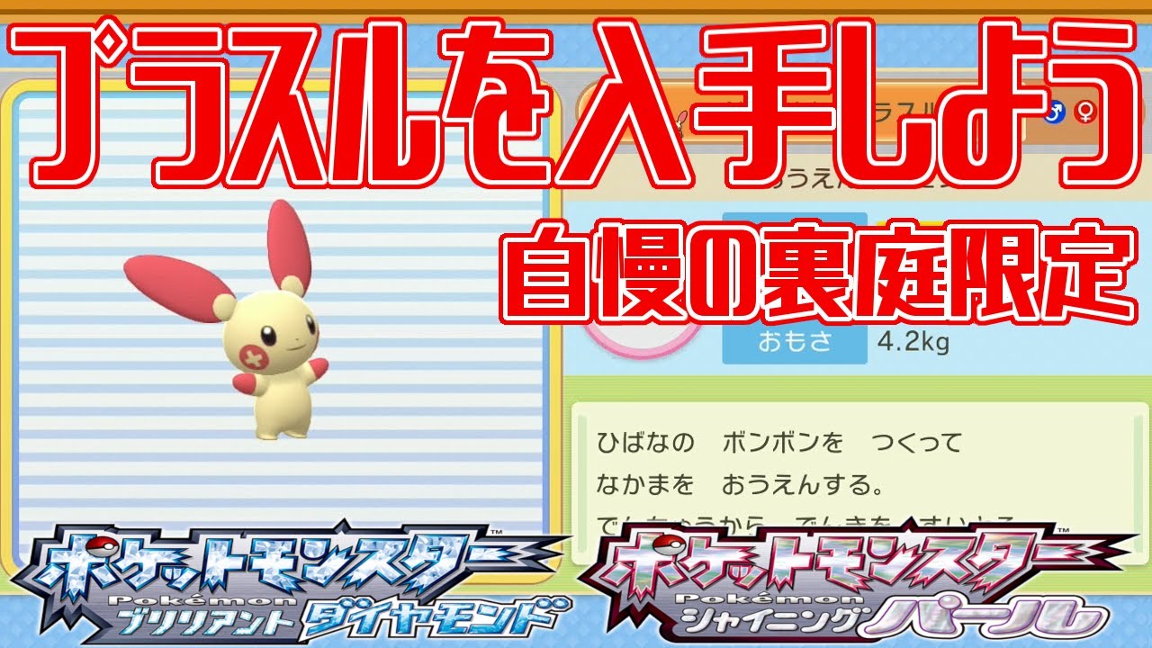 【ポケモンダイパリメイク】プラスルを入手しよう 自慢の裏庭限定(じまんのうらにわ) 【ポケットモンスター ブリリアントダイヤモンド・シャイニングパール】Pocket Monsters