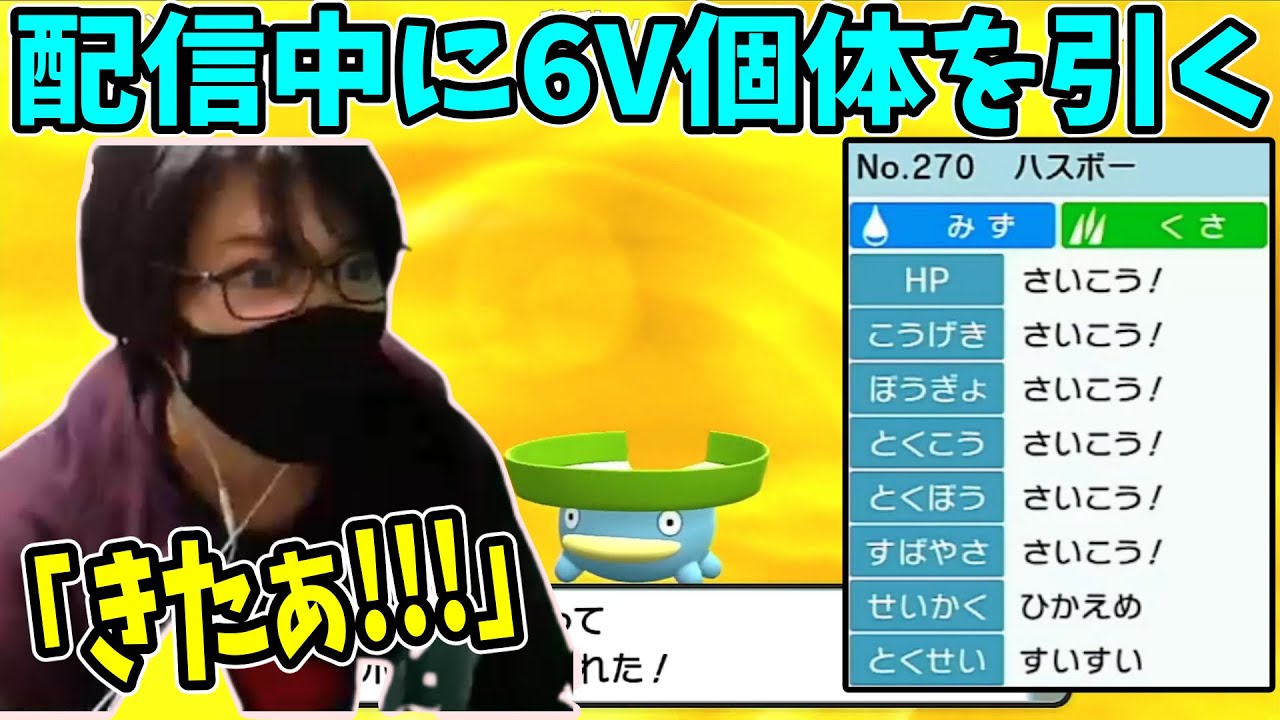 アニポケOPを歌っていたら6Vのハスボーが生まれる【2022/11/12】〈ポケモンBD〉