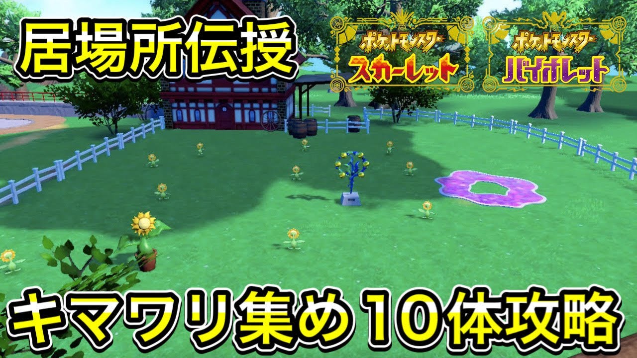【ボウルジムテスト攻略】キマワリ集め10体の居場所をすべて教えます！