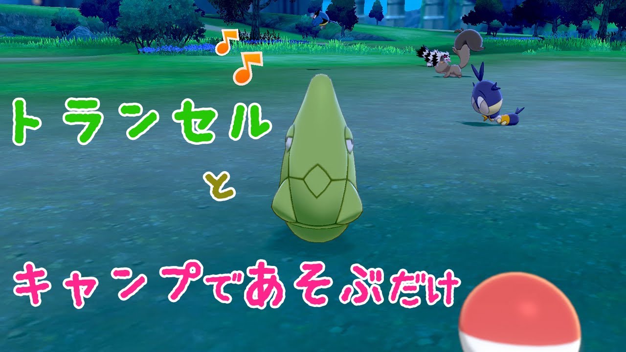 トランセルとキャンプで遊ぶ