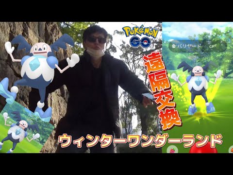 ガラルバリヤード大量捕獲！交換相手がいない、そんな時は？個体値厳選の話もします。ウィンターワンダーランド7KM卵も割ります！遠隔交換【ポケモンGO】