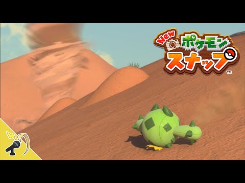 自然に弄ばれる可哀想なサボネアをパシャる【New ポケモンスナップ】