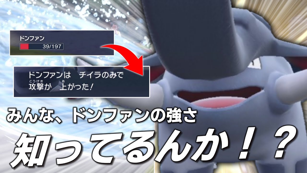 君たちは「ドンファン」の本当の強さを知っているのかい？【ゆっくり実況】【ポケモンSV】
