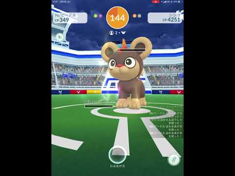 シシコvsビードル+